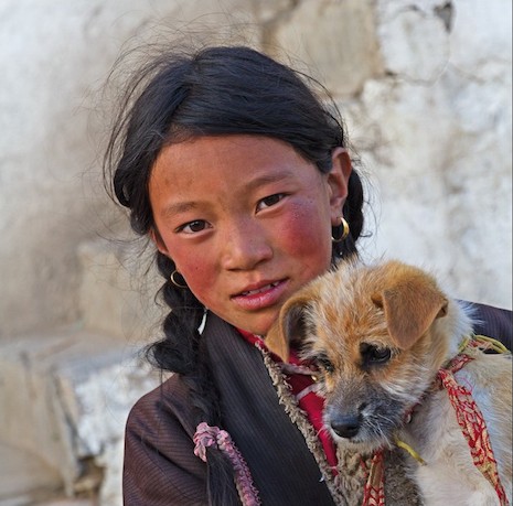 L'année du Chien de Terre