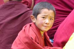 Enfant moine venu écouter les enseignements de Gosok Rinpoché 
