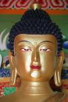 Visage du Bouddha