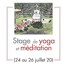 Programme stage yoga juillet 20