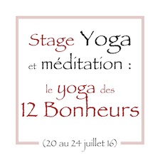 Stage yoga été 16